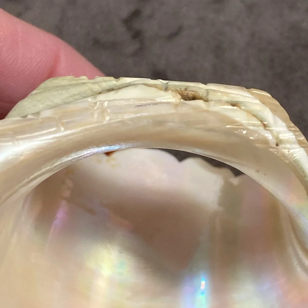 Antique Carved Green Turbo Shell Basket - Picture 9 of 9